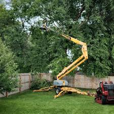 Best Arborist Consultation Services  in Hornsby Bend, TX