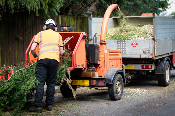Best Emergency Tree Removal  in Hornsby Bend, TX