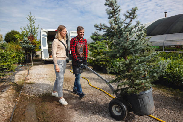 Professional Tree Services in Hornsby Bend, TX